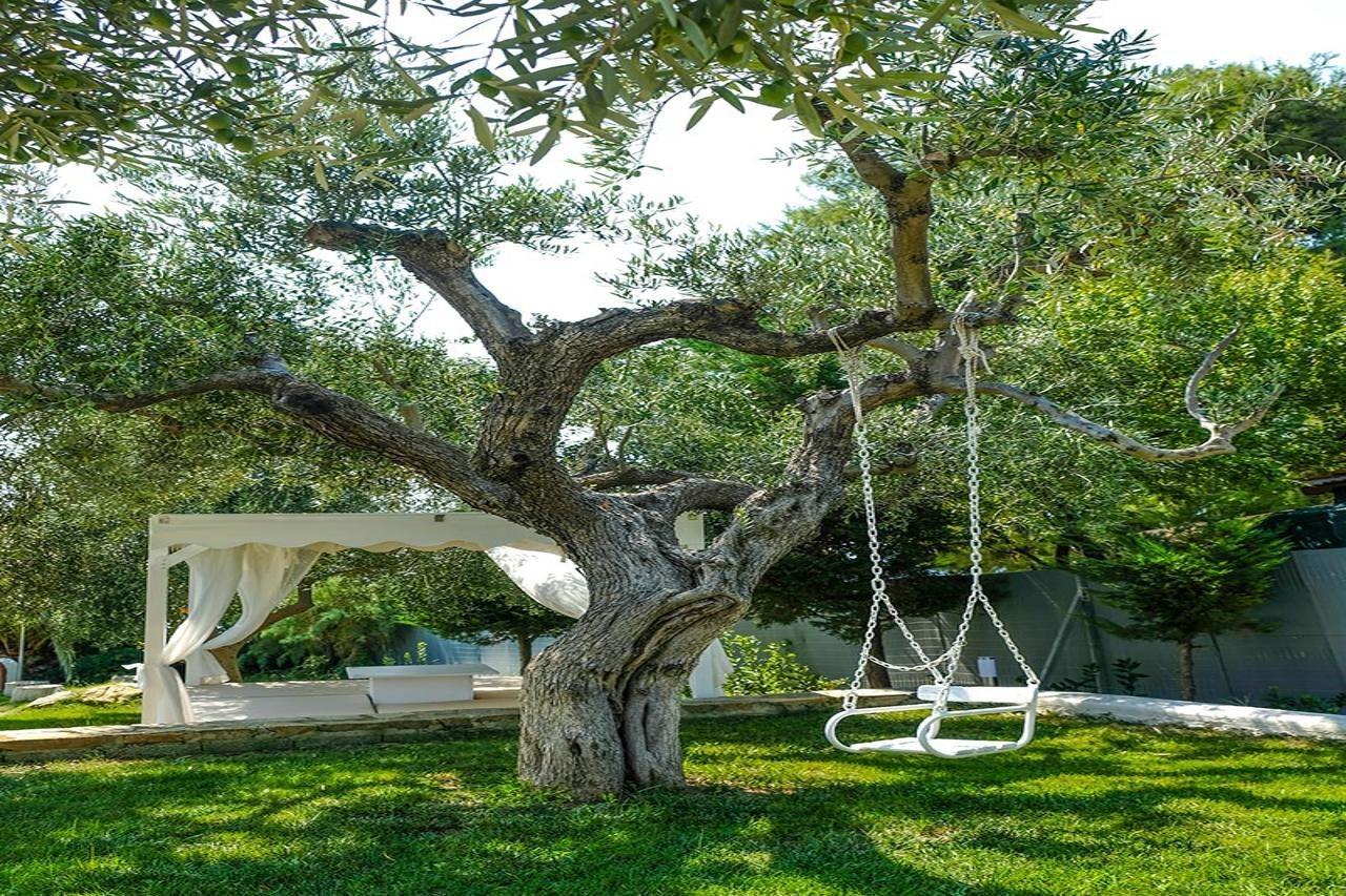 Acrotel Athena Villa Elia Nikitis Exteriér fotografie
